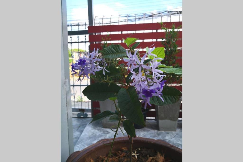 Bluebell House Hatyai - Cosy 3 Bedrooms For 10 Pax - 9 Mins Drive To Lee Grd Ban Kho Hong Exterior photo